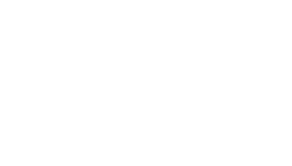 Fischbacher Institut
